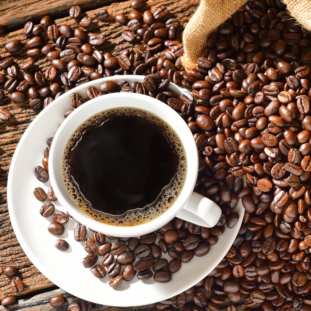 Kopi Terenak di Indonesia: Dari Aceh Gayo Sampai Toraja