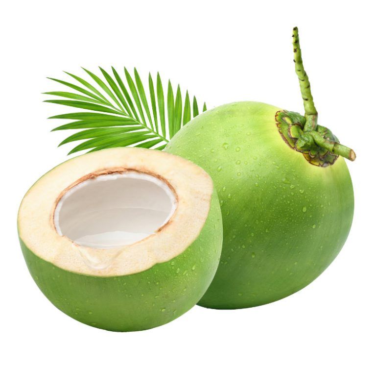 Rahasia Daging Kelapa untuk Menyehatkan Tubuh